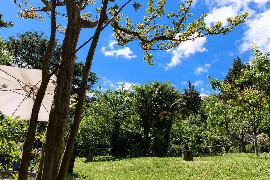 ein Park mit Bäumen und blauem Himmel in der Unterkunft Little Garden House in Cernobbio