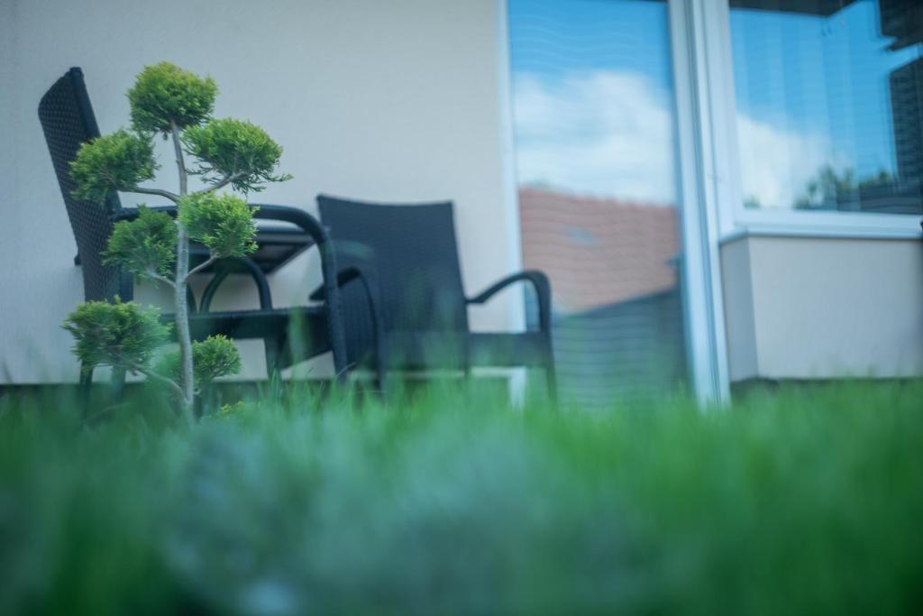 Fotografia z galérie ubytovania Pisztácia apartman v destinácii Eger