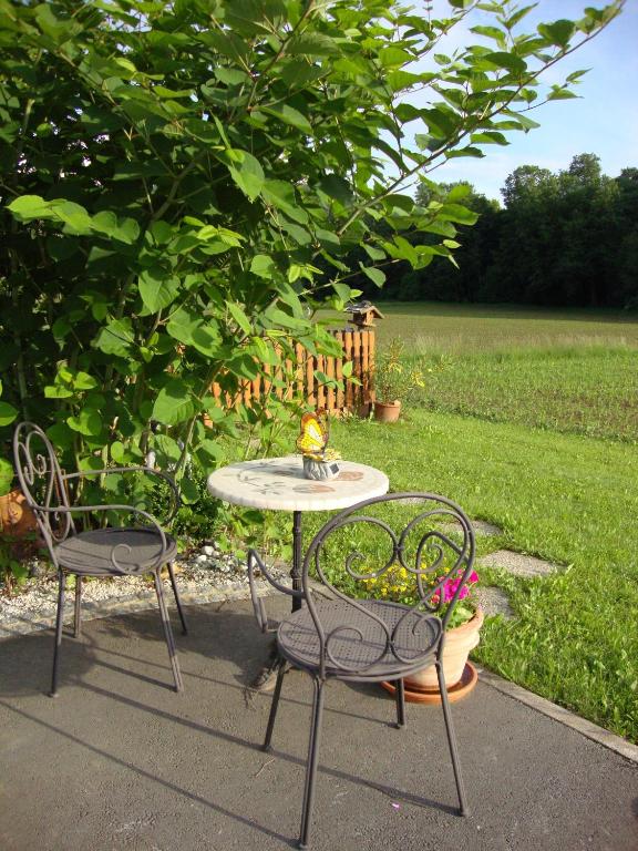 A garden outside Casa Anna
