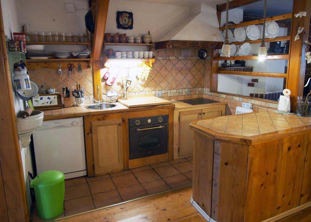 Kuchyň nebo kuchyňský kout v ubytování Apartment Ernestova hiša