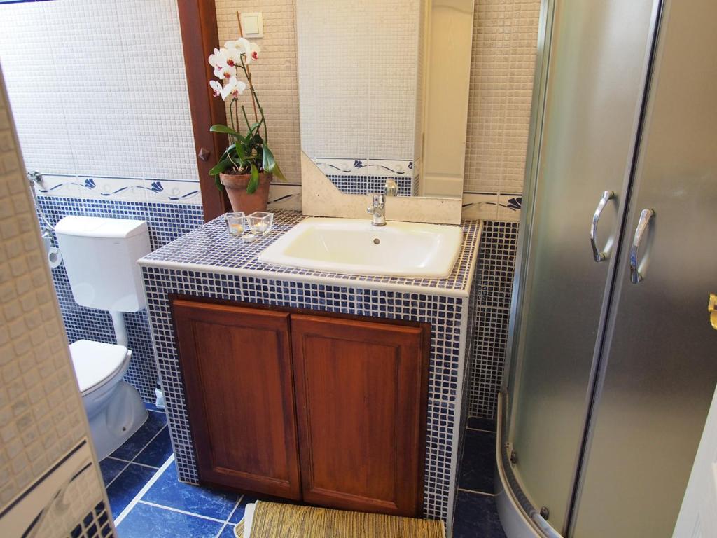 Koupelna v ubytování Apartment Ernestova hiša