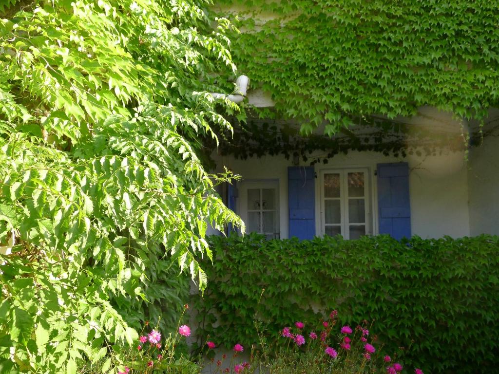 Zahrada ubytování Coq Hotel