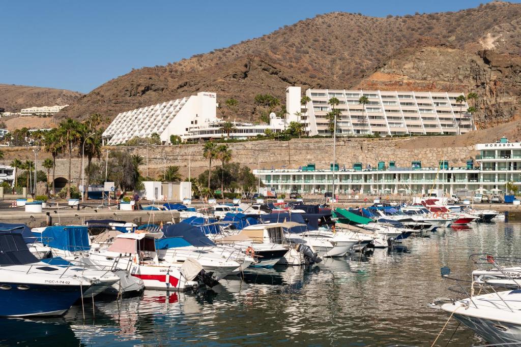 a group of boats docked in a harbor with a building at Holiday Club Puerto Calma in Puerto Rico de Gran Canaria