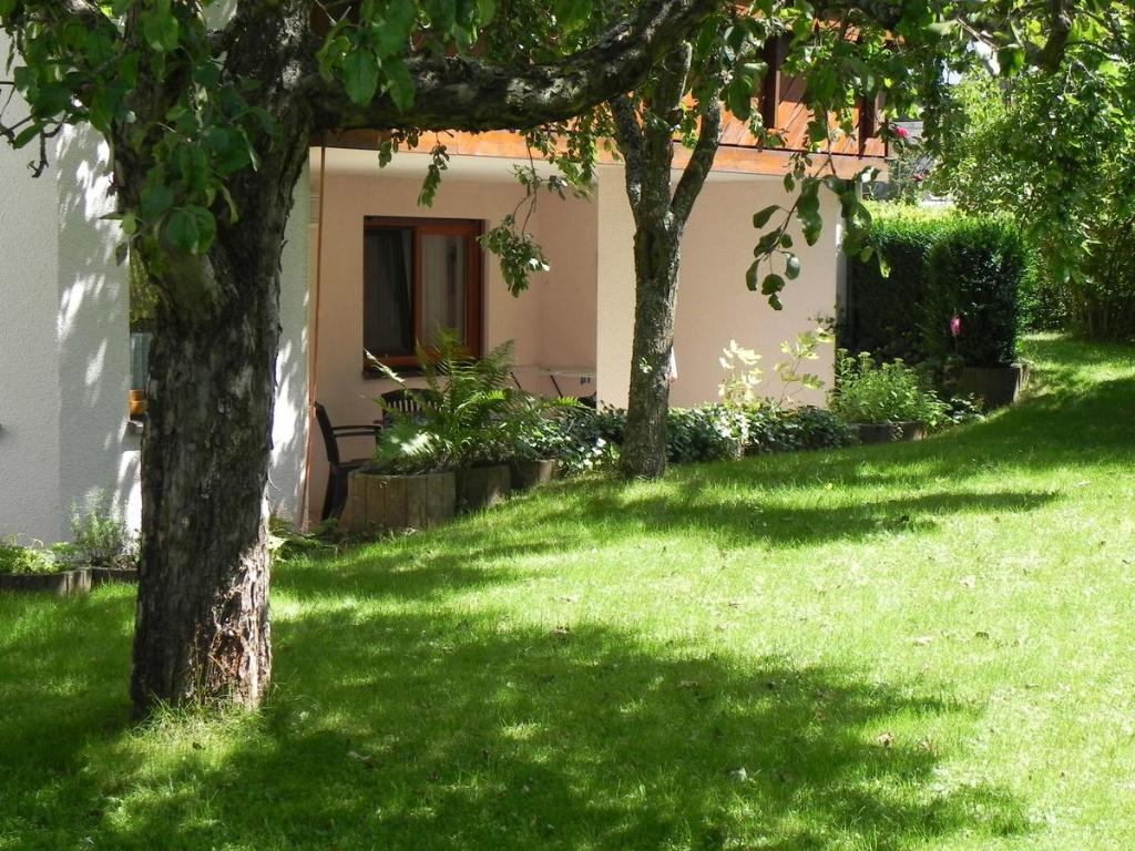 Zahrada ubytování Ferienwohnung Beck