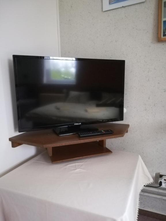 TV a/nebo společenská místnost v ubytování Penzion Ivana