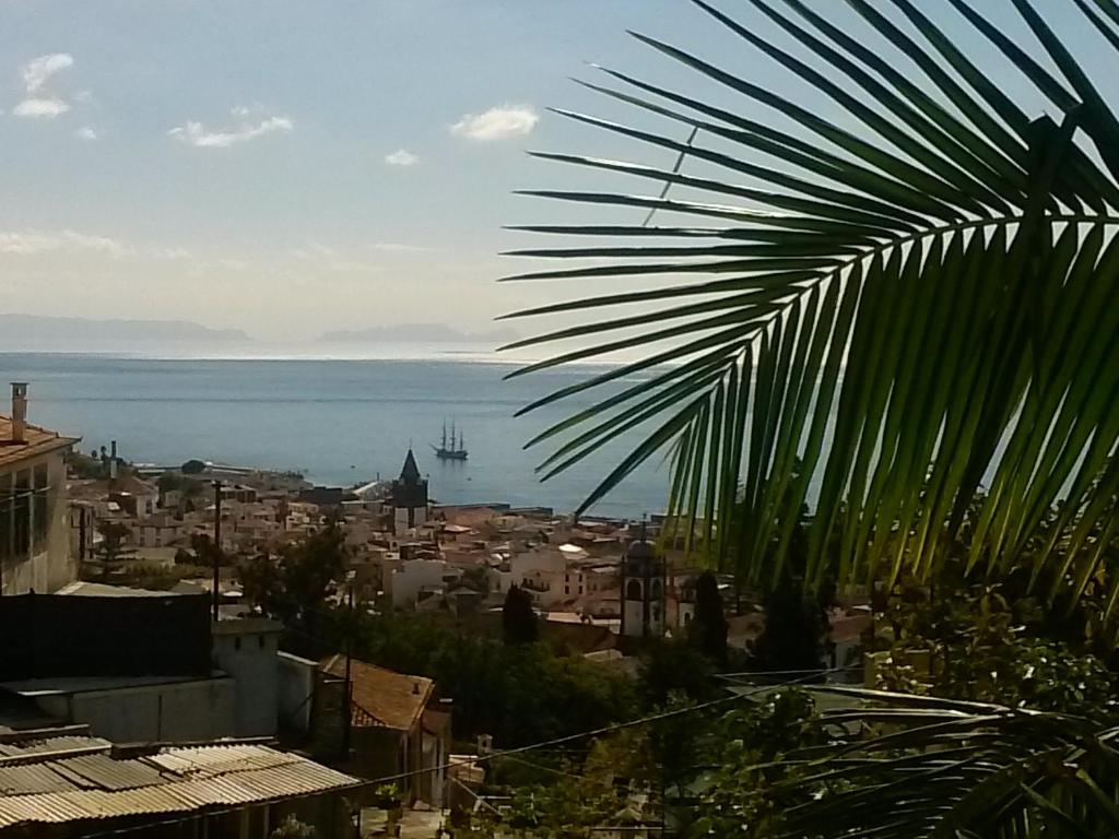 Blick auf eine Stadt mit einer Palme in der Unterkunft Casa Pico Musica in Funchal