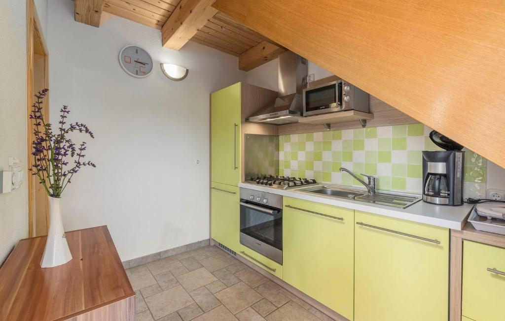 Kuchyňa alebo kuchynka v ubytovaní Apart Complex Villa Anja