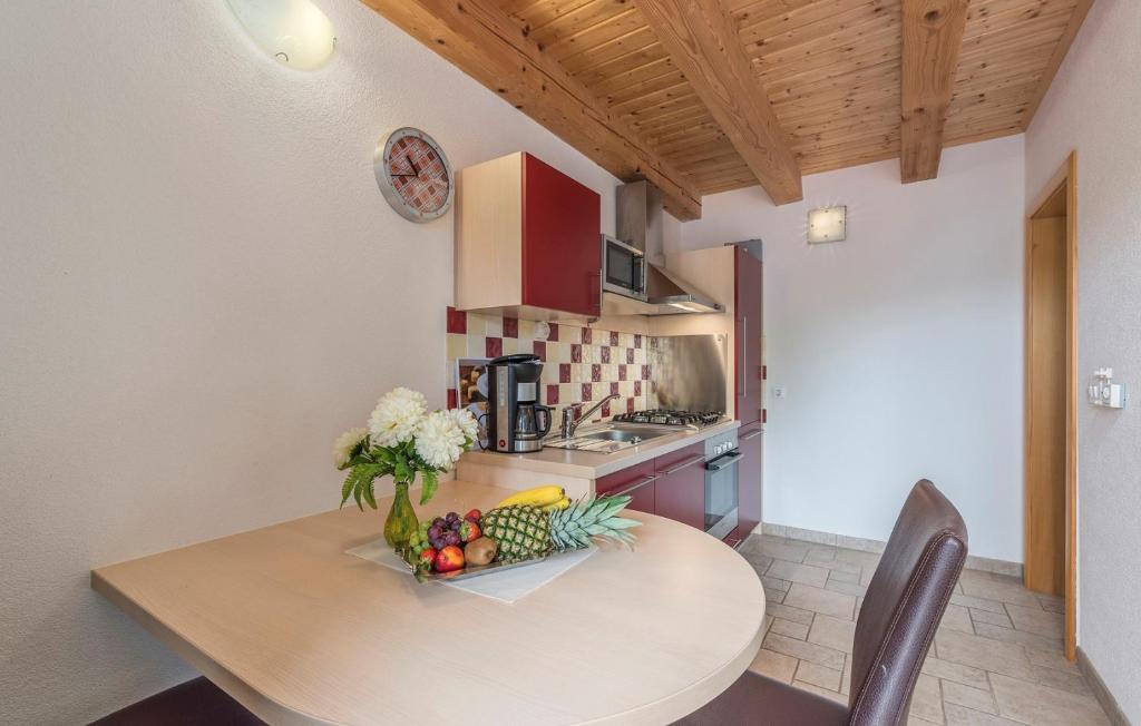 Kuchyňa alebo kuchynka v ubytovaní Apart Complex Villa Anja