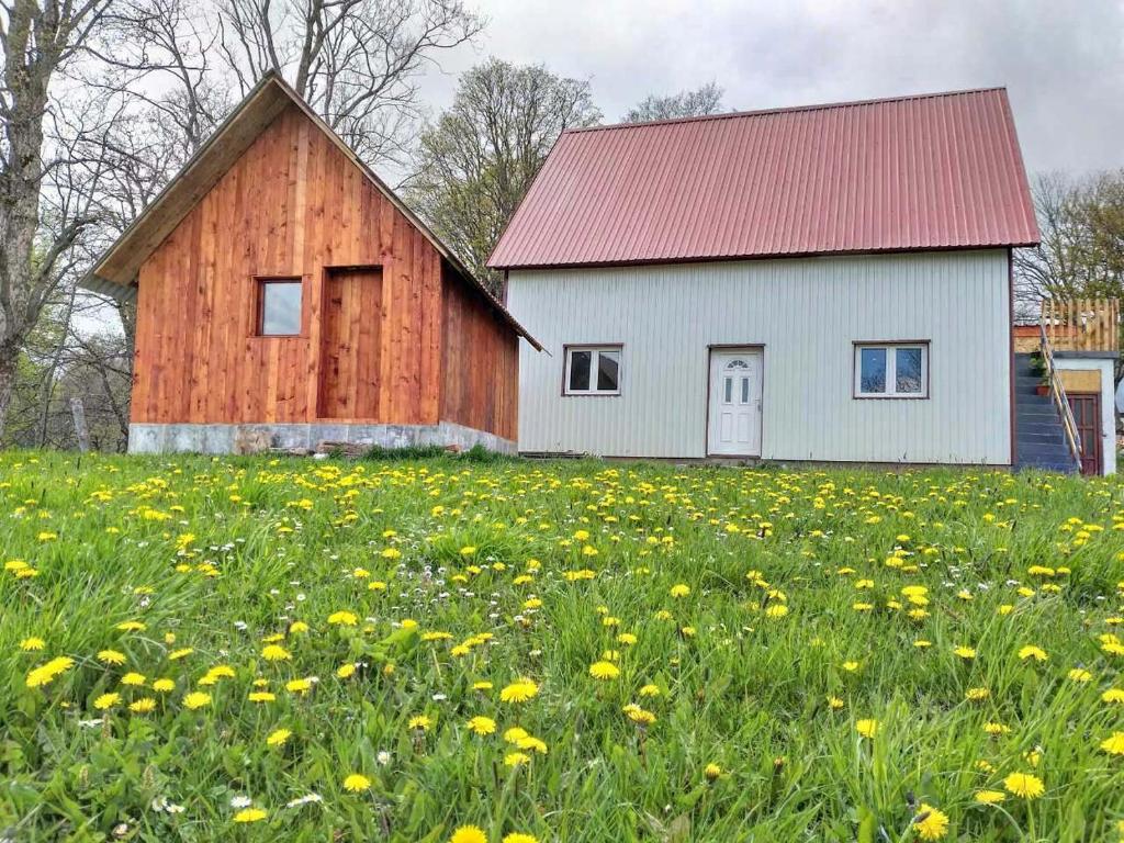 a barn with a field of flowers in front of it at Domaćinstvo Krstajić - Rural holiday in Žabljak