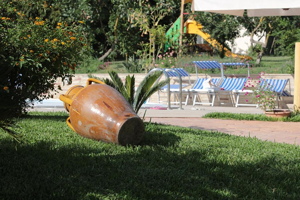 Zahrada ubytování Hotel Maremonti
