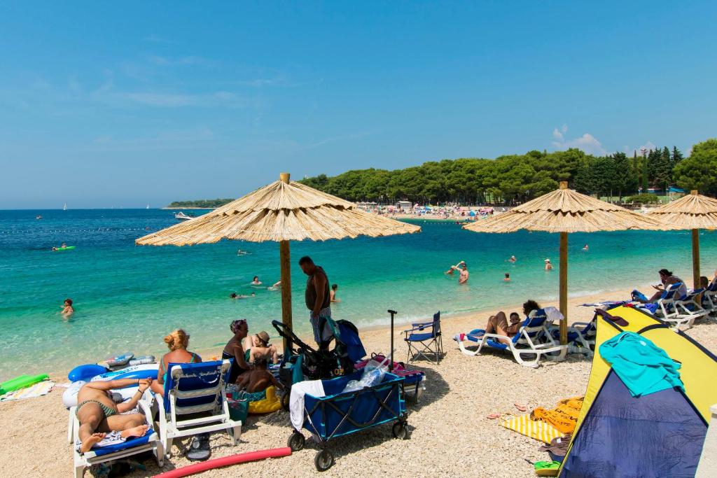 Príroda v okolí apartmánu