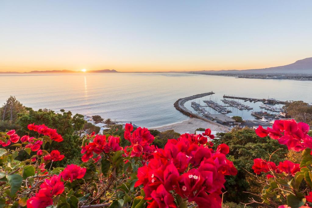 a view of a beach with red flowers at Celtic Manor Boutique Guest House in Gordonʼs Bay