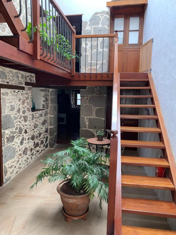 un escalier dans une maison avec une plante en pot dans l'établissement Casa Luna - Agüimes, à Agüimes