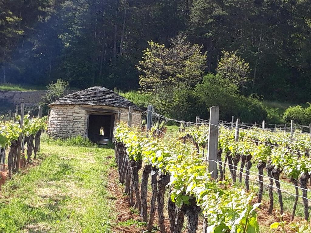 Zahrada ubytování Le bois de laval