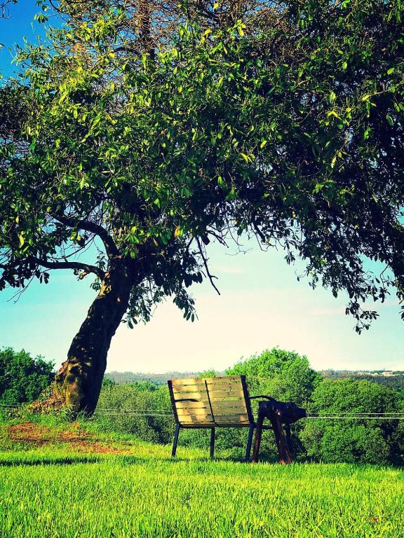 a bench sitting under a tree in a field at Campamento Turístico Brandoñas in Brandoñas