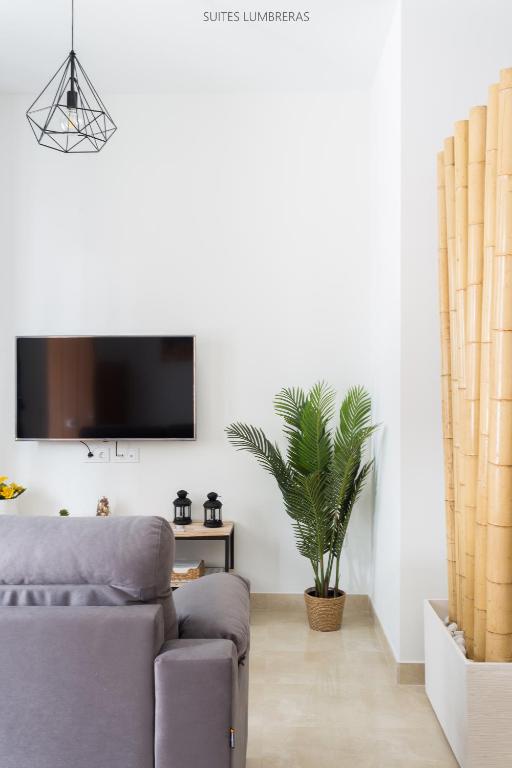 TV a/nebo společenská místnost v ubytování Suites Lumbreras