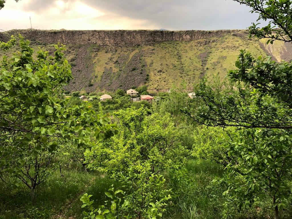Příroda nedaleko apartmánu