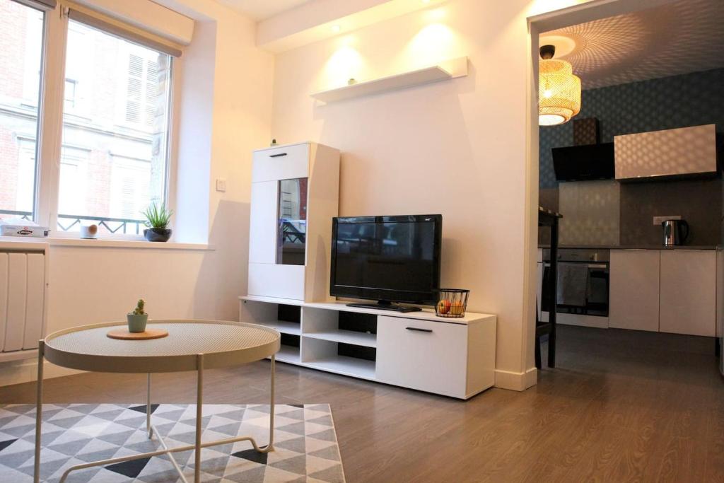 TV a/nebo společenská místnost v ubytování Studio hyper centre ville Épernay - Champagne