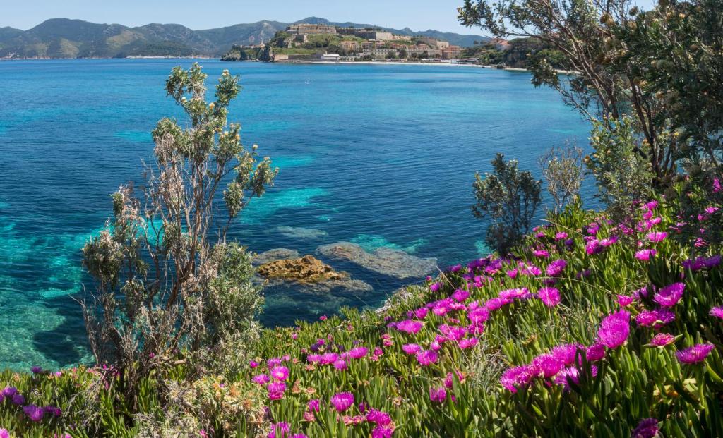 a view of a body of water with flowers at Hotel Acquamarina in Portoferraio