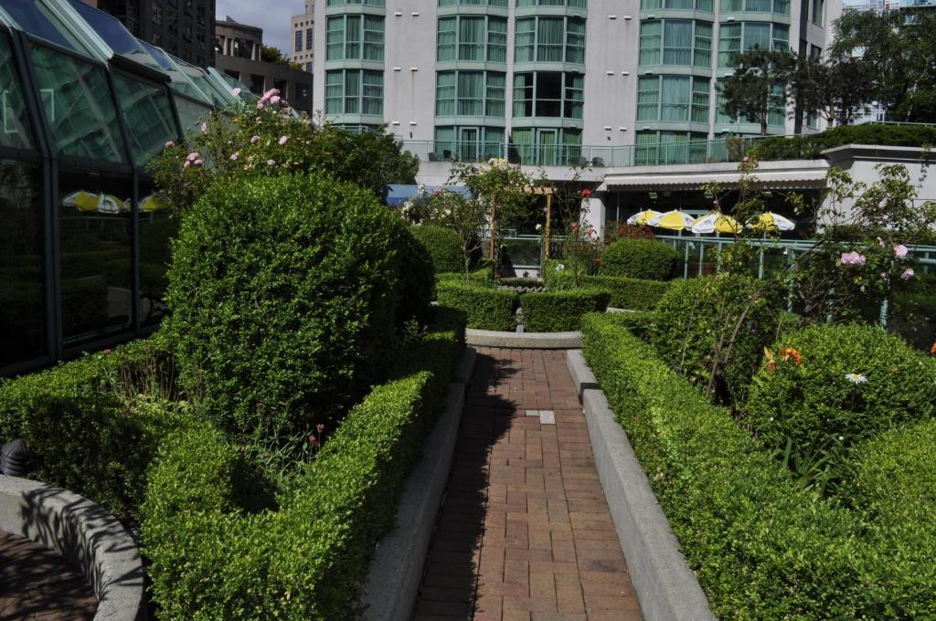 a garden with green hedges and a building at Rosedale on Robson Suite Hotel in Vancouver