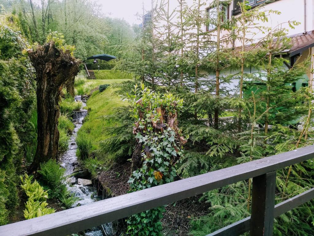 Gajówka&Vita Pokoje Gościnne - 15