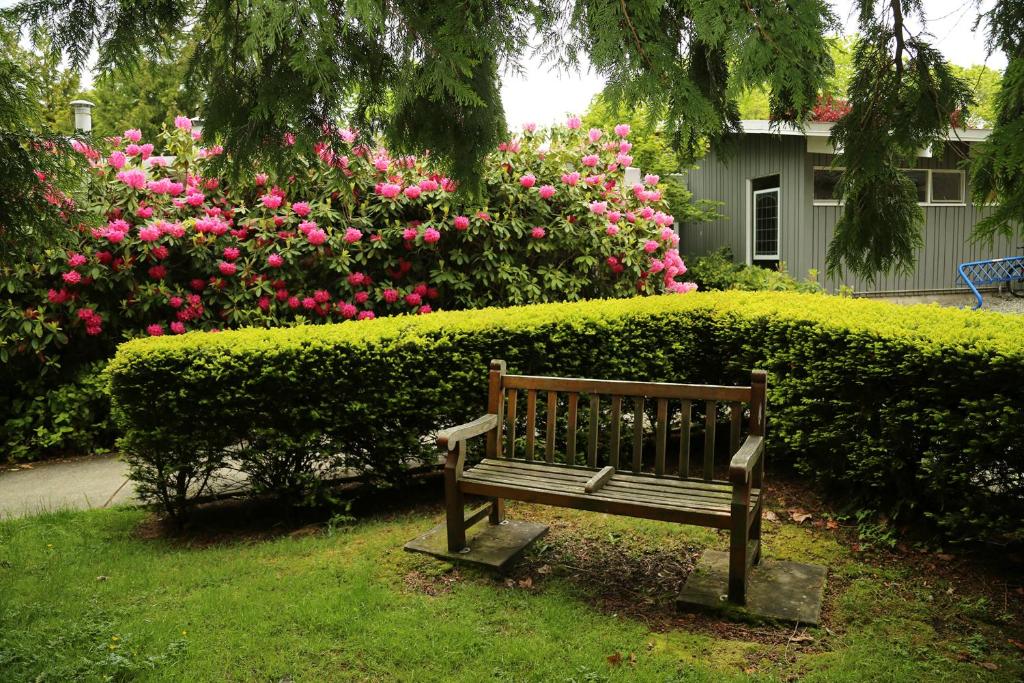 a wooden bench in front of a bush with pink flowers at Carey Centre on UBC campus in Vancouver