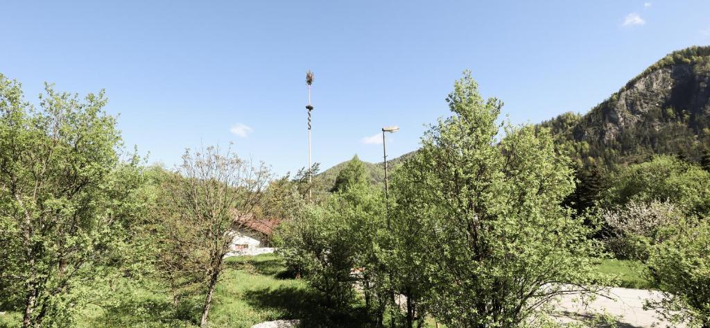 Príroda v okolí farmy