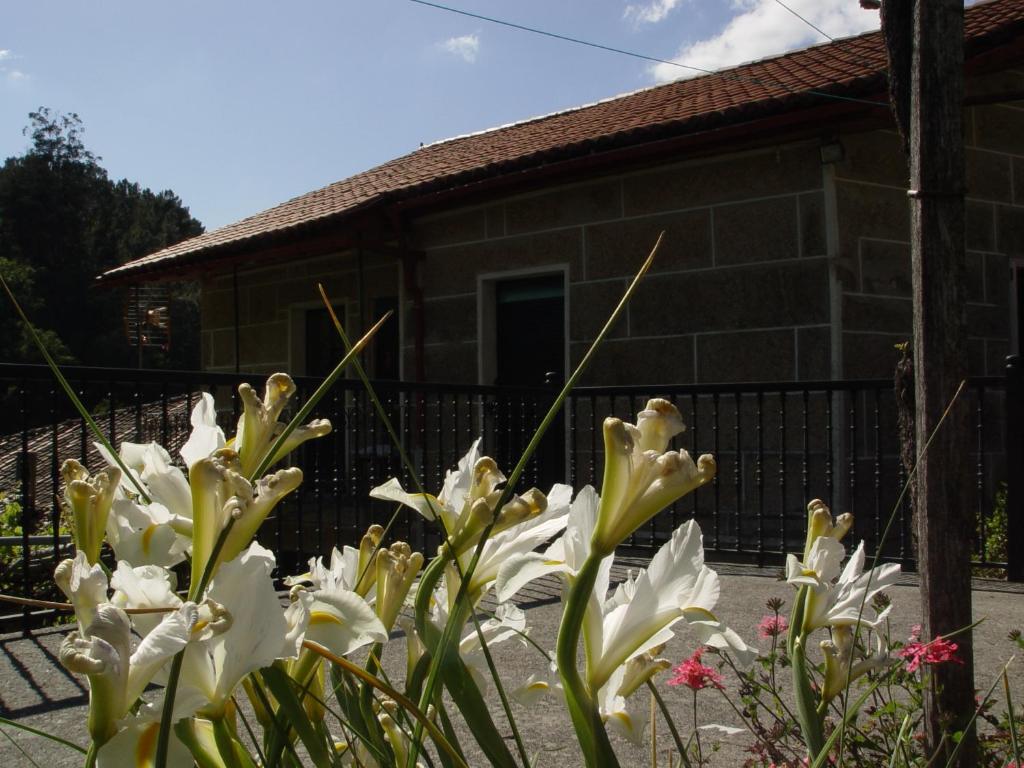 Ogród w obiekcie Casa en Viñoas (Ribeira Sacra)