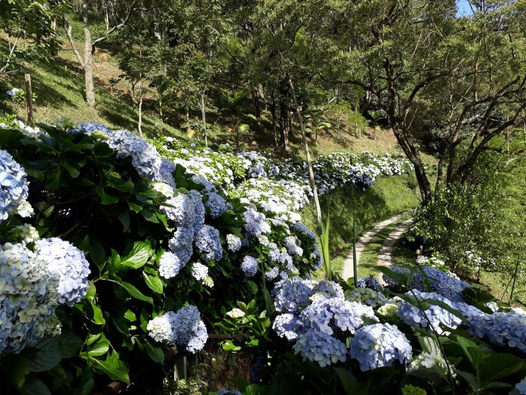  Quinta VistaBella