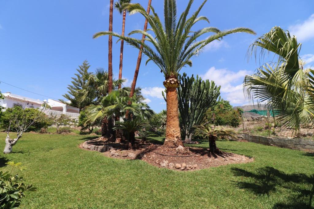 Zahrada ubytování Villa el Romeral SpainSunRentals 1112