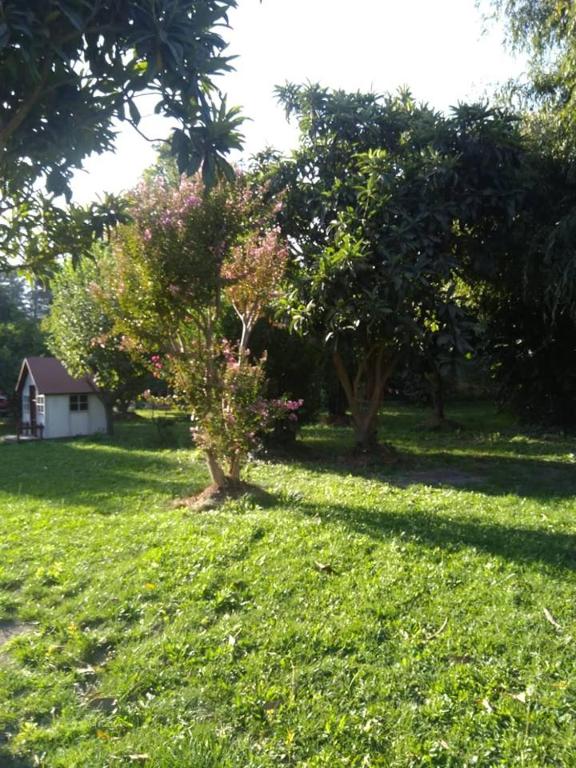Zahrada ubytování Hostal Casa Galerna de La Montaña