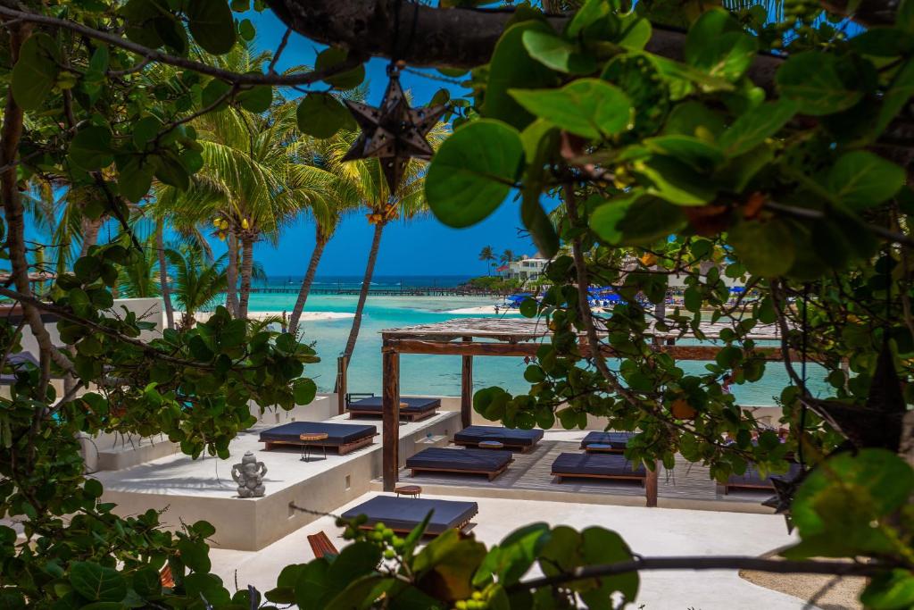 Hoteles en Isla Mujeres | Mejor valorados 199601603