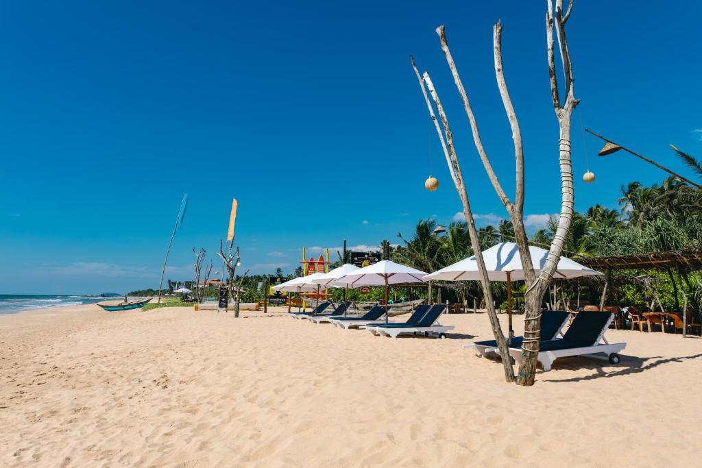 a row of chairs and umbrellas on a beach at Amal Beach Hotel in Bentota