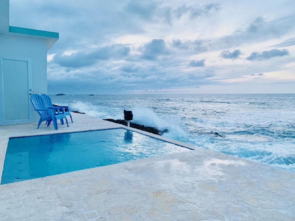 un gato sentado junto a una piscina junto al océano en Discovery Inn & Suites at 681 Ocean Drive, en Arecibo