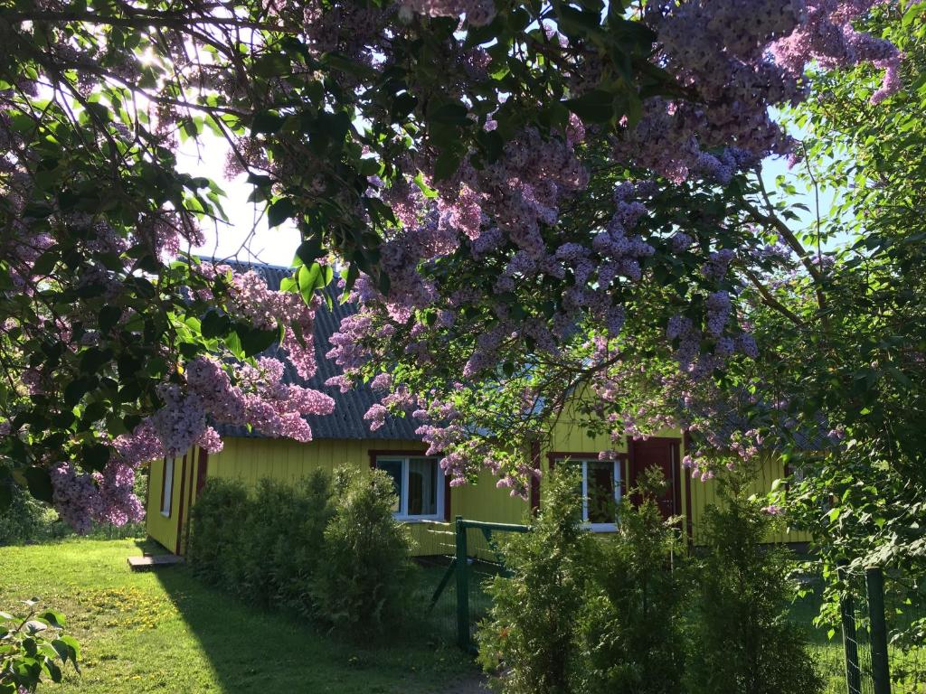 una casa con flores púrpuras delante de ella en Kuraga Homestay in Kihnu, en Lemsi