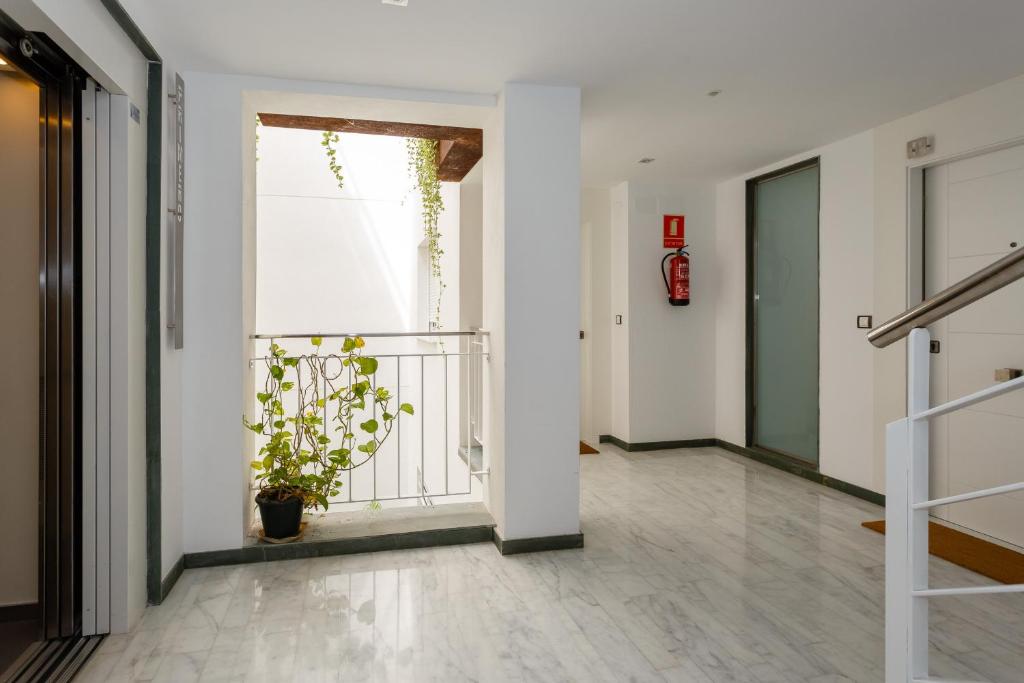 Fotografie z fotogalerie ubytování La Sorpresa del GENOVES by Cadiz4Rentals v destinaci Cádiz