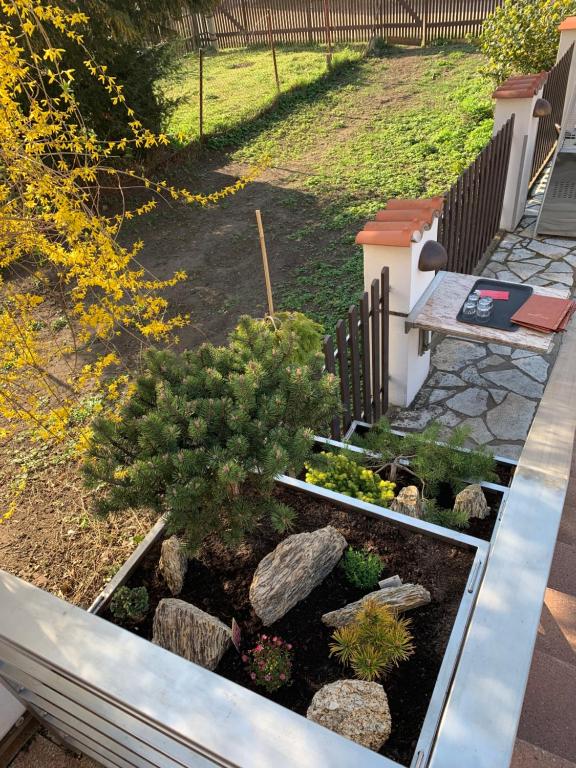 a garden with a pine tree and rocks at Hotel 100 in Pardubice