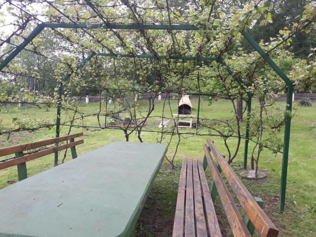 Vonkajšia záhrada v ubytovaní Kuća za odmor Mažuran