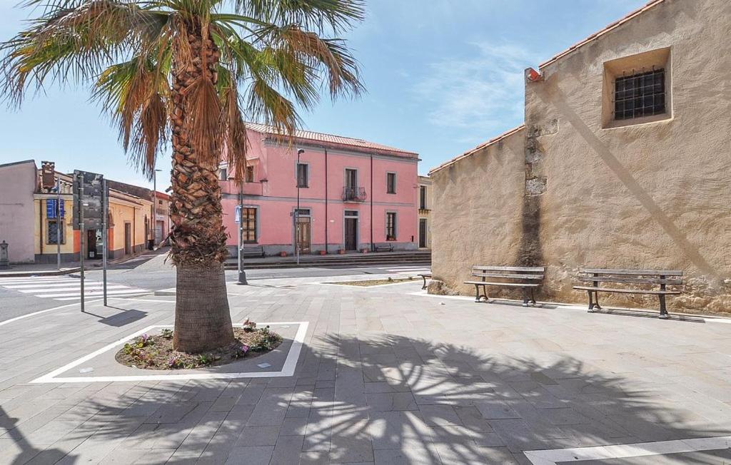 a palm tree and a bench on a city street at Casa Clessi's in Riola Sardo