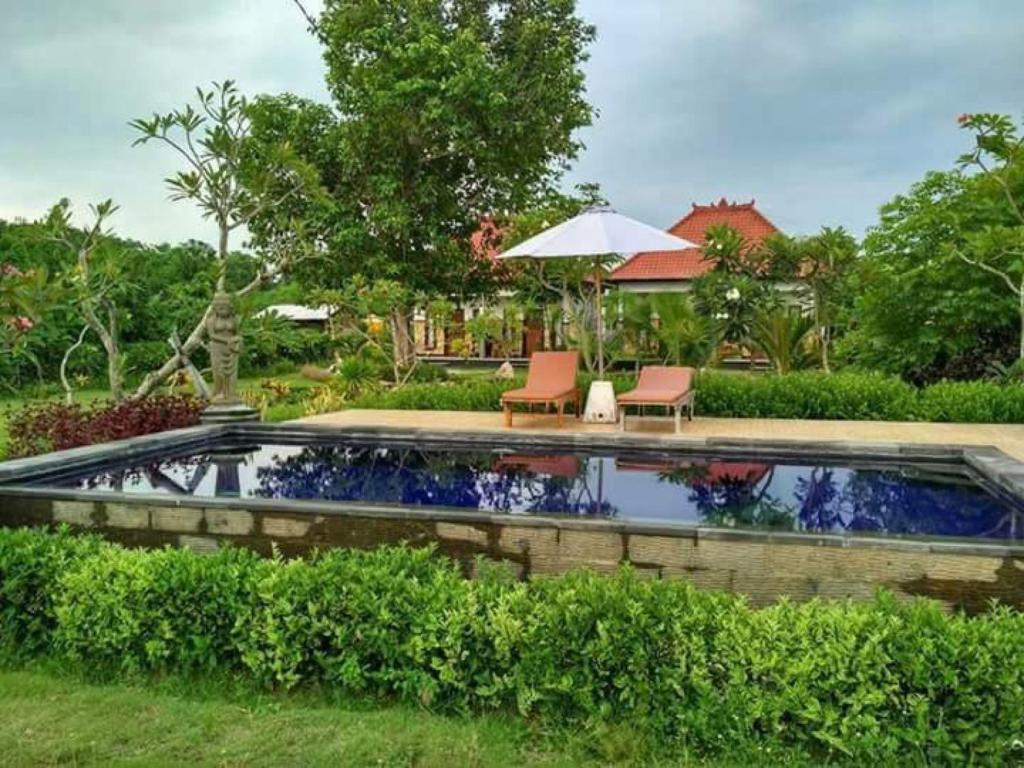 a swimming pool with two chairs and an umbrella at Kubu Sunset Guest House in Nusa Lembongan