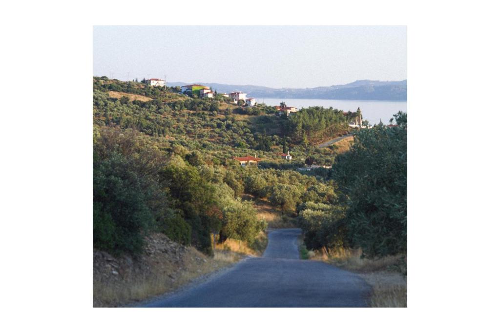 Φυσικό τοπίο κοντά σε αυτό το ξενοδοχείο