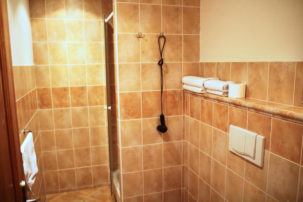 Koupelna v ubytování Schneeberg Apartmany
