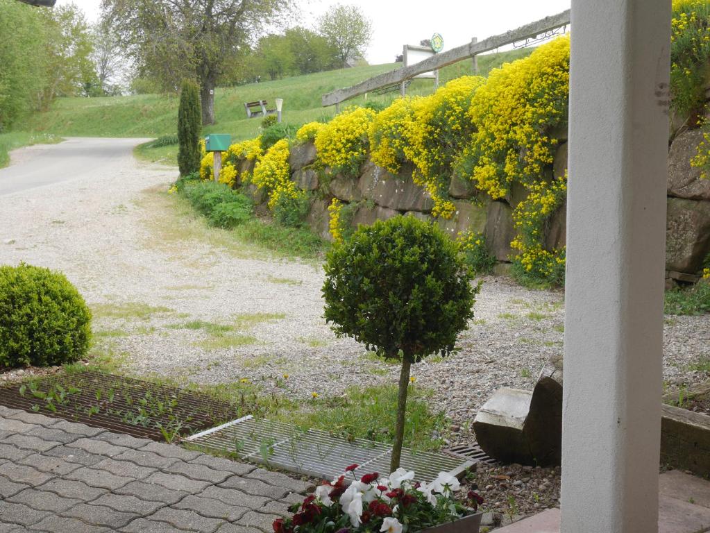 Zahrada ubytování gite au coin du feu à 25mn de Colmar au calme avec jardin clos