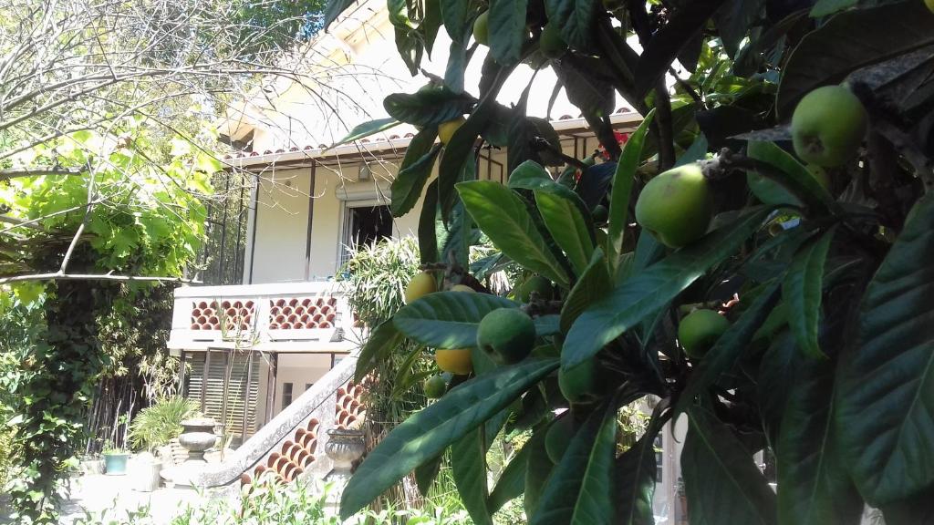 Zahrada ubytování Maison d'hôtes L'îlot bambou