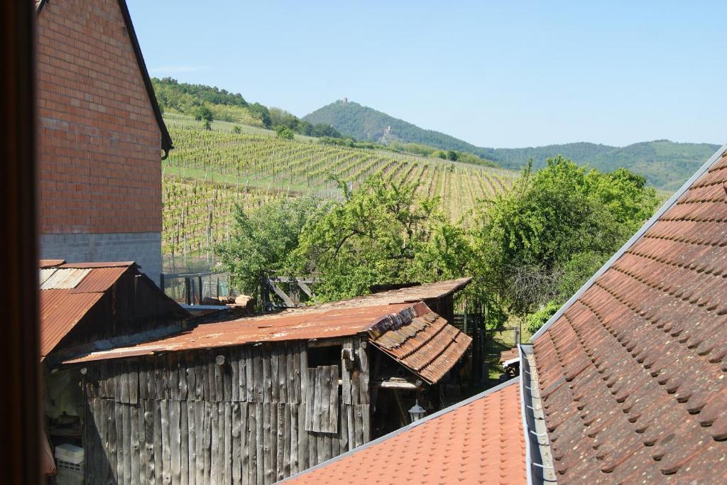Le Divin Gîte Classé 4 étoiles – photo 37