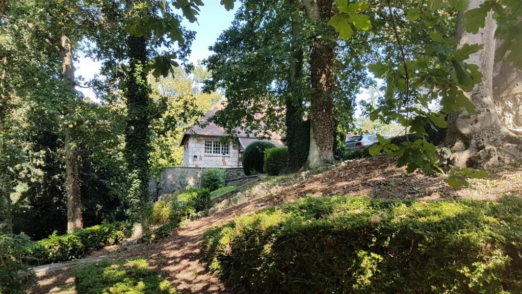 una casa en la cima de una colina con árboles en Appart dans grande demeure au calme, en Auzebosc