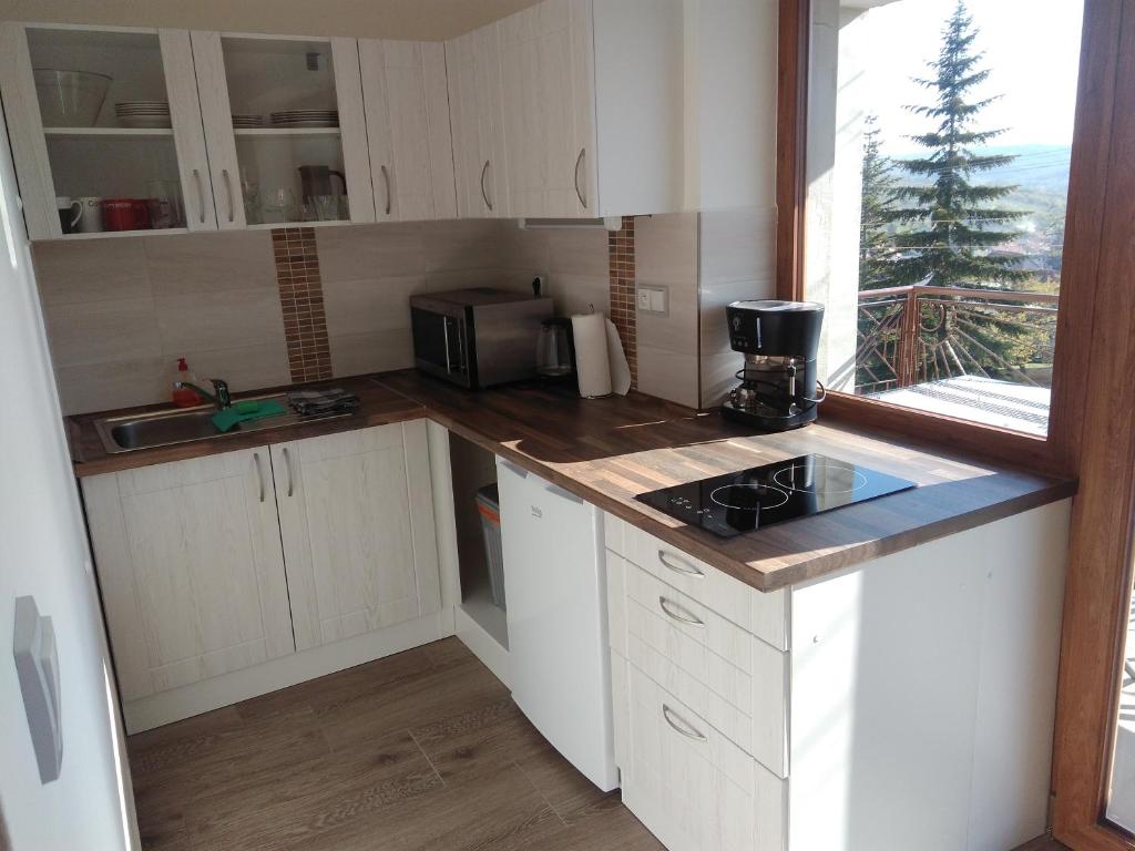 Kuchyň nebo kuchyňský kout v ubytování Apartmány 27