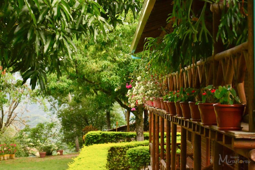 een rij potplanten aan de zijkant van een huis bij Hostería Miraflores in Liborina