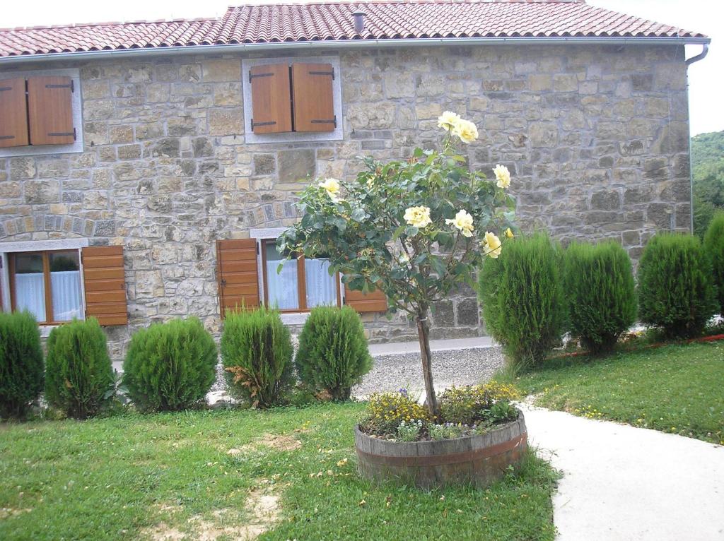 a tree in front of a stone house at Agroturism Stara Štala in Borut