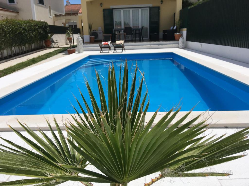 una palmera frente a una piscina azul en São Gonçalo Summer House, en Azeitão